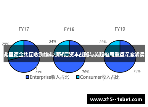 弗里德金集团收购埃弗顿背后资本战略与英超格局重塑深度解读 弗里德金集团收购埃弗顿背后资本战略与英超格局重塑深度解读